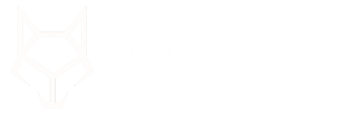 Mad Wolves Media